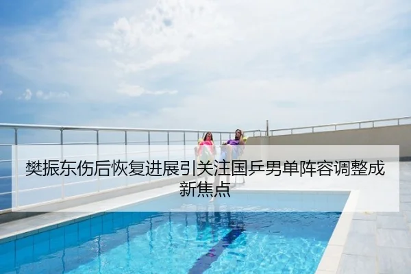 樊振东伤后恢复进展引关注国乒男单阵容调整成新焦点